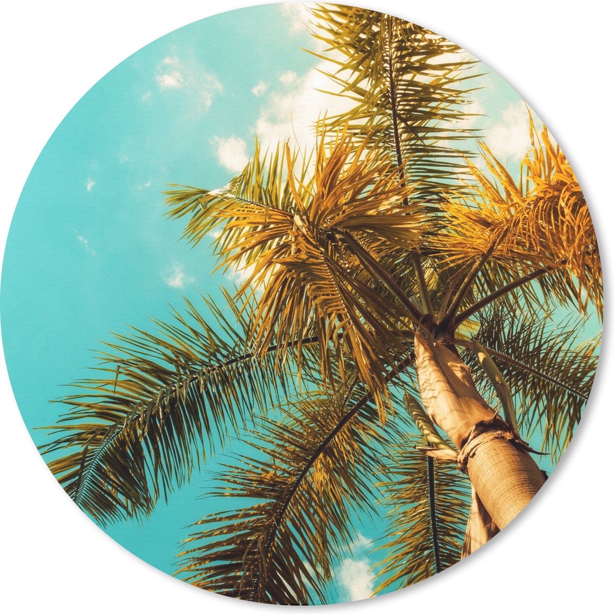 Muismat rond 20x20 cm - Mousepad Palm - Zomer - Tropisch - Ronde muismatten