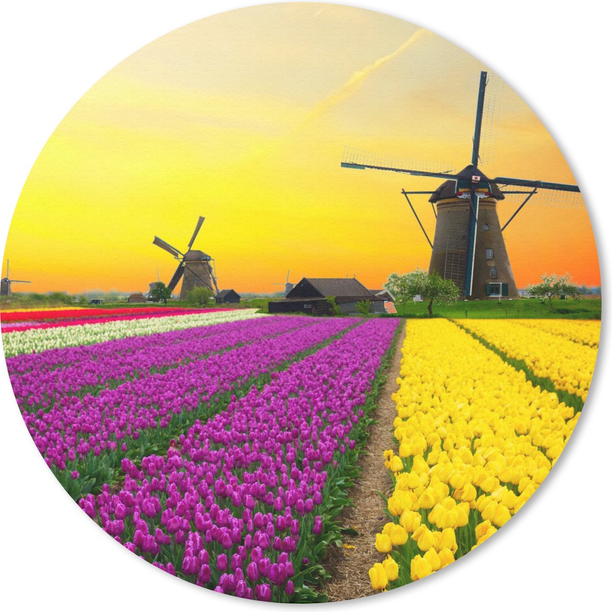Muismat rond 50x50 cm - Mousepad Windmolen - Tulpen - Bloemen - Lente - Ronde muismatten