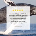Product afbeelding  8