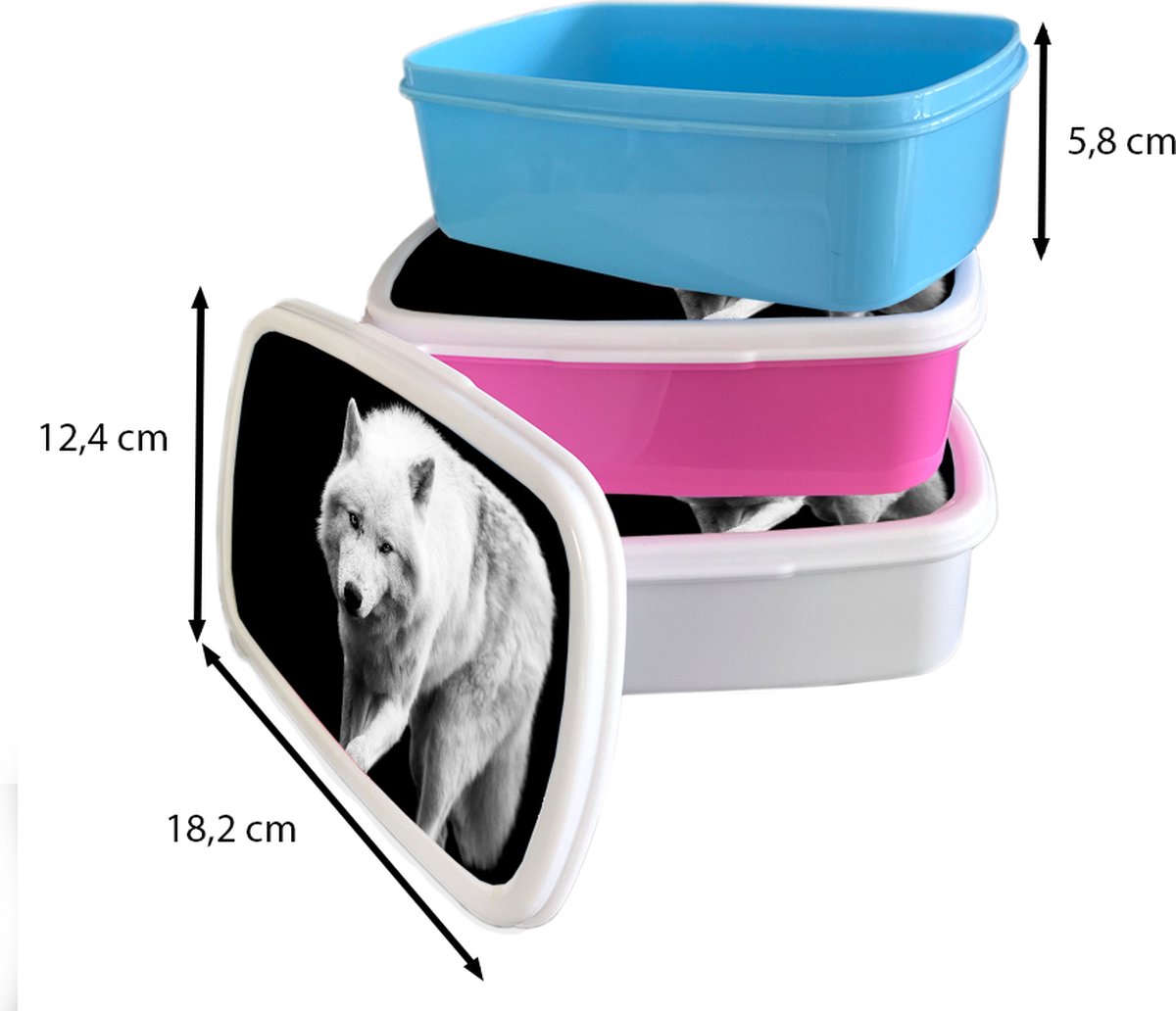 Broodtrommel Blauw - Lunchbox - Brooddoos - Wolf - Dier - Zwart - Wit - 18x12x6 cm - Kinderen - Jongen