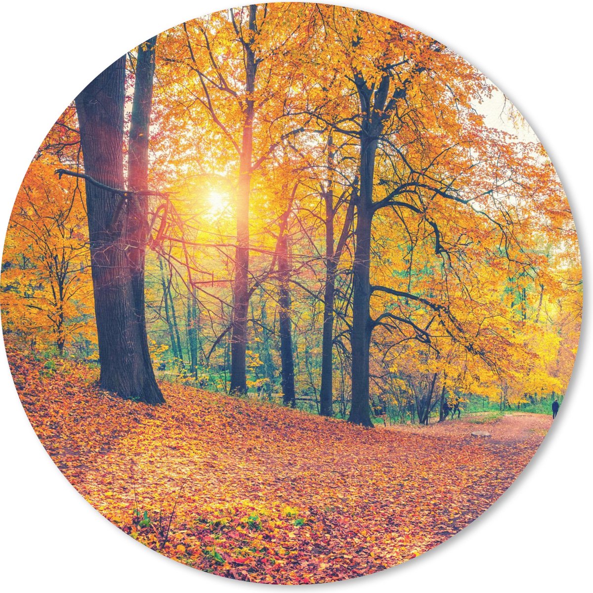 Muismat rond 30x30 cm - Mousepad Bomen - Herfst - Bos - Herfstbladeren - Ronde muismatten