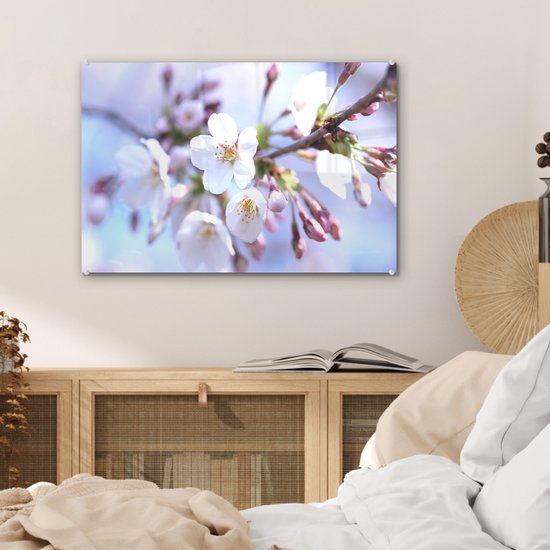 MuchoWow® Peinture sur verre 60x40 cm - Peinture sur verre acrylique - Fleurs - Sakura - Branche - Branches fleuries - Photo sur verre - Peintures