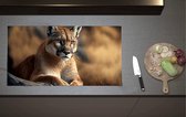 Inductieplaat Beschermer - Cartoon van Puma Liggend op Grijze Rots in Natuurgebied - 90x52 cm - 2 mm Dik - Inductie Beschermer van Vinyl