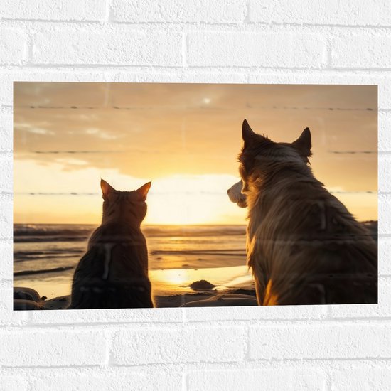 Muursticker - Hond en Kat Kijkend naar de Ondergaande Zon - 60x40 cm Foto op Muursticker