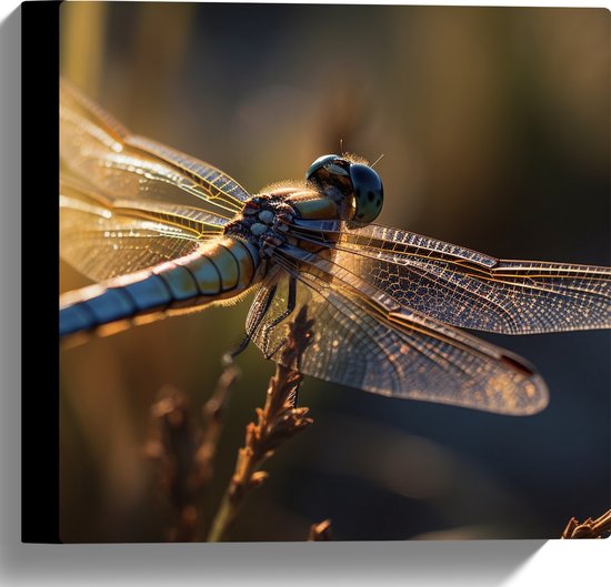 Foto: Canvas blauwe libel staat op bloem met gedetaileerde doorzichtige vleugels 30x30 cm foto op canvas schilderij wanddecoratie op canvas