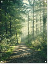 Tuinschilderij Bos - Pad - Zon - Bomen - Groen - Natuur - 60x80 cm - Tuinposter - Tuindoek - Buitenposter