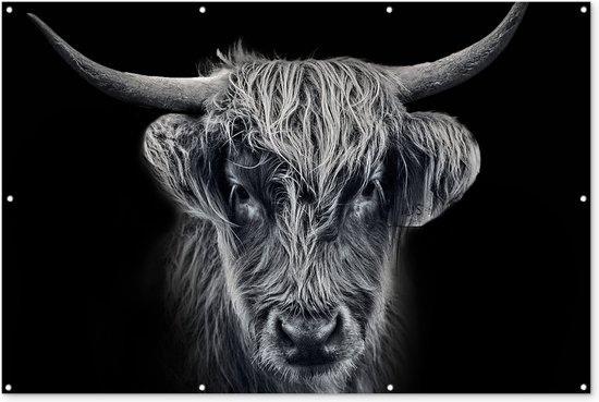 Décoration murale Highlander écossais - Zwart - Vache - Animaux - 180x120 cm - Poster jardin - Toile jardin - Poster extérieur