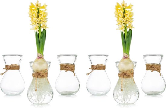 Glazen vazen voor bloemen met koord 6 stuks/set bloemenarrangementen, bloemenvazen glas, kristallen knoopvazen, creatief voor bruiloft, thuis, keuken, tuinbalkon decoratie