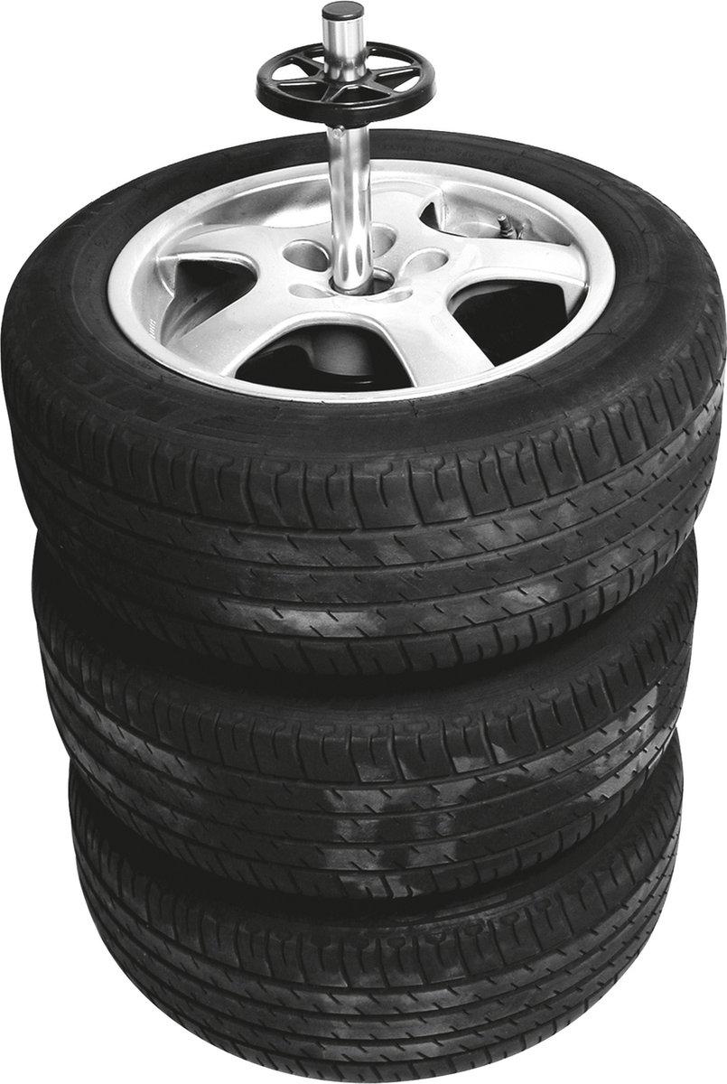 Carpoint Bandenstandaard + Hoes