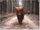 Tuinschilderij Schotse hooglander - Bos - Koe - Dieren - Natuur - 80x60 cm - Tuinposter - Tuindoek - Buitenposter