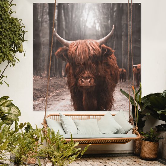 Affiche de Jardin Highlander écossais - Animaux - Vaches - 200x200 cm