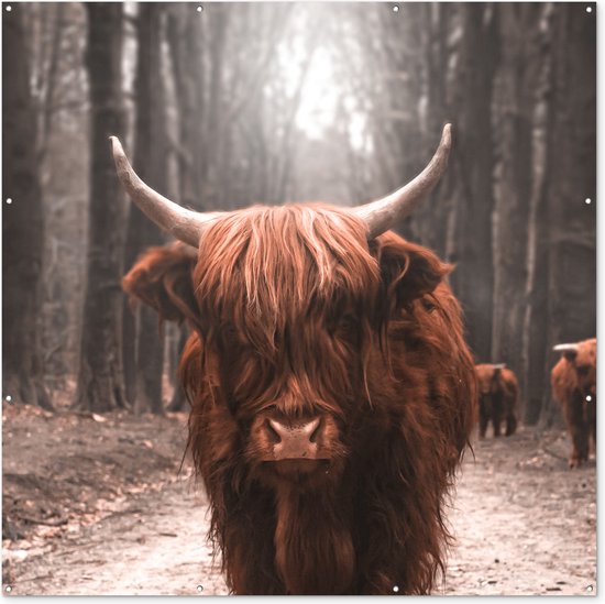 Tuin poster Schotse hooglander - Bos - Koe - Dieren - Natuur - 200x200 cm - Tuindoek - Buitenposter