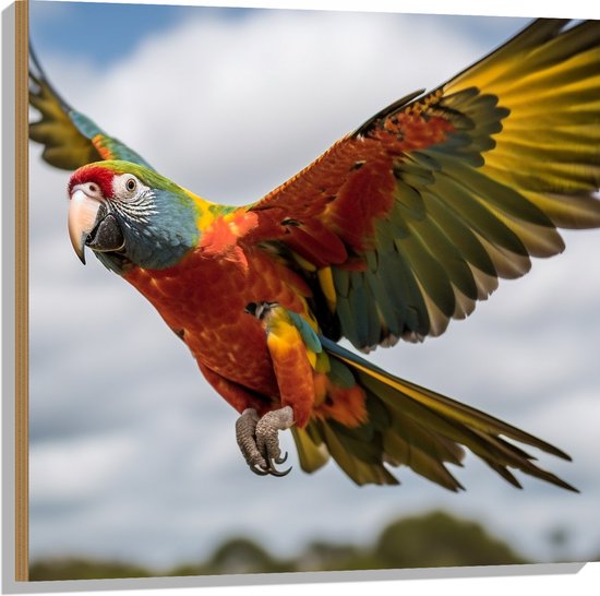 Hout - Ara papegaai vliegt rond over bomen heen - 80x80 cm - 9 mm dik - Foto op Hout (Met Ophangsysteem)