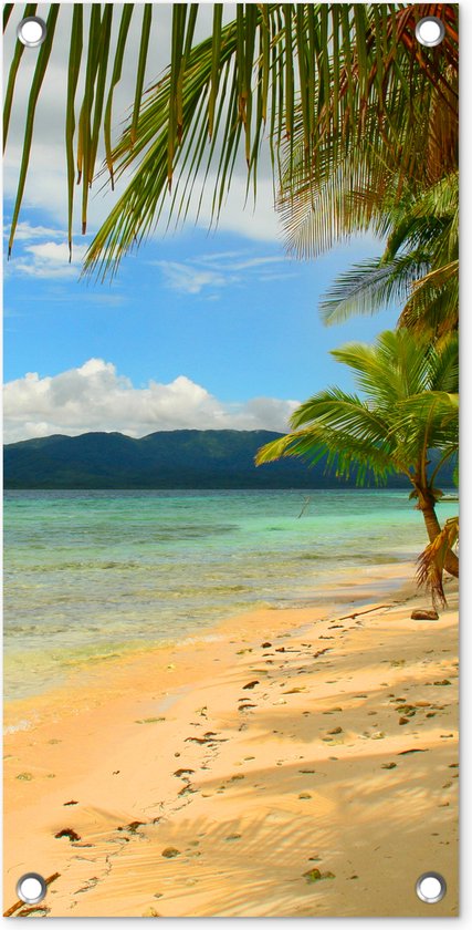 Strand en palmbomen bij de San Blas-eilanden bij Panama