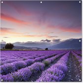 Tuindoek Zonsondergang boven lavendels - 100x100 cm