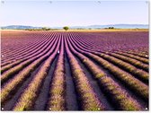 Muurdecoratie buiten Lavendelvelden in het de Provence van Frankrijk - 160x120 cm - Tuindoek - Buitenposter