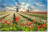 Tuinposter bloemen - Tuindecoratie tulpen - 90x60 cm - Tuinschilderij voor buiten - Tuindoek molen - Wanddecoratie tuin - Schuttingdoek - Balkon decoratie - Muurdecoratie landschap Nederland - Buitencanvas