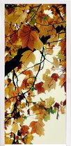 Deursticker Bomen - Herfstbladeren - Natuur - 85x205 cm - Deurposter