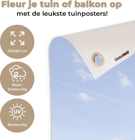 Tuinposter koeien - Tuindecoratie dieren - 120x80 cm - Tuindoek Friesland - Muurdecoratie voor buiten - Schuttingposter - Tuinschilderijen - Tuinwanddecoratie gras - Tuinposters