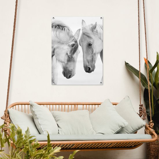 Tableau jardin Cheval - Animaux - Portrait - Wit - 60x80 cm - Affiche jardin - Toile jardin - Affiche extérieur