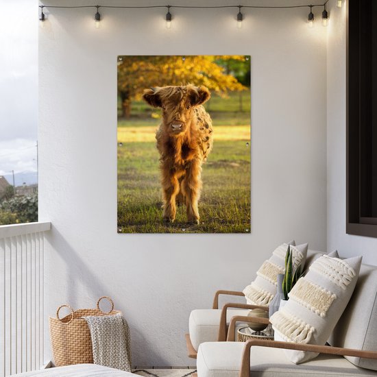 Affiche jardin - Toile Posters de jardin extérieur - Highlander écossais - Veau - Automne - 90x120 cm - Jardin