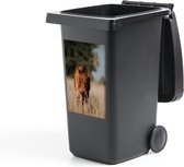 Container sticker Quarter Paard - Quarter paard veulen kijkt camera in Klikosticker - 40x60 cm - kliko sticker - weerbestendige containersticker