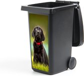 Container sticker Een zwarte Labrador Retriever die omhoog kijkt - 38x80 cm - Kliko sticker