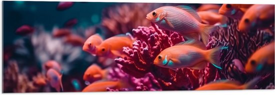 Acrylglas - Groep oranje vissen zwemmen door een roze koraal heen - 120x40 cm Foto op Acrylglas (Met Ophangsysteem)