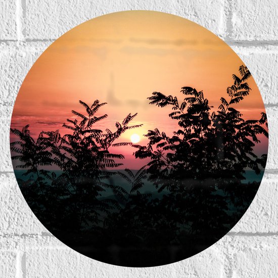 Muursticker Cirkel - Bomen - Zon - Zonsondergang - Kleuren - 30x30 cm Foto op Muursticker