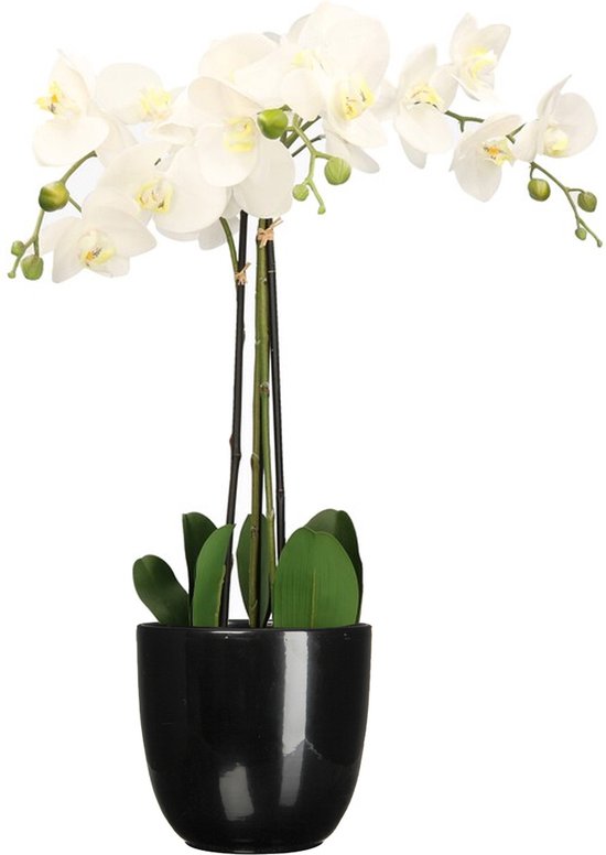 Orchidée artificielle blanche - 75 cm - y compris pot de fleur noir brillant - Fleurs artificielles en pot