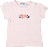 Baby Girls T-shirt Stripe- Dirkje- Light Pink Stripe