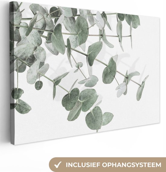 Canvas Schilderij Eucalyptus - Bladeren - Natuur - Groen - 60x40 cm - Wanddecoratie