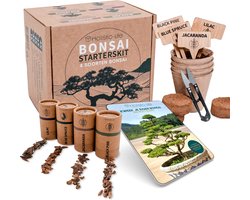 Bonsai Starters Kit met Uitgebreide Instructies – Bonsai Zaden Kit – Binnen Boompje Kweken – Kamerplanten – Kweekset Cadeau – Geschenkset