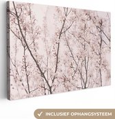 Canvas Schilderij Bloesem - Bomen - Takken - Natuur - Roze - 30x20 cm - Wanddecoratie