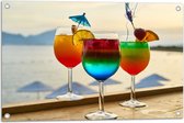 Tuinposter – Kleurrijke Cocktails met Uitzicht op Zee - 75x50 cm Foto op Tuinposter (wanddecoratie voor buiten en binnen)