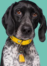DWAM Dog with a Mission Halsband Hond – Hondenhalsband – Geel – M – Leer – Halsomvang tussen 32-39 x 2,5 cm – Blue Star