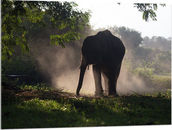 Acrylglas - Grote Olifant in de Schaduw van de Bomen - 100x75 cm Foto op Acrylglas (Met Ophangsysteem)