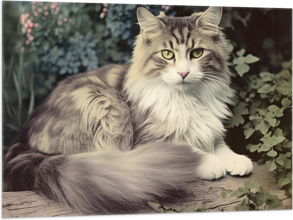 Vlag - Grijze kat met groene ogen in de natuur op een boomstam - 100x75 cm Foto op Polyest