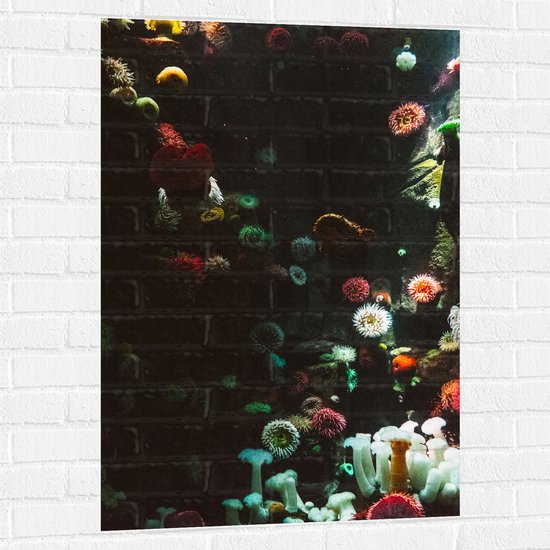 Muursticker - Zee - Onderwaterleven - Koraal - Bloemdieren - 70x105 cm Foto op Muursticker