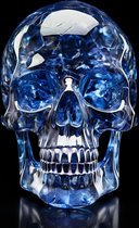 Blue Skull Poster | Doodshoofd Poster | Poster Doodshoofd | Poster Skull | Woondecoratie | 61x91cm | DZ | Geschikt om in te Lijsten