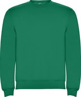 Kelly Groene unisex sweater Clasica merk Roly maat M