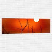 Muursticker - Takken - Natuur - Zon - Rood - 150x50 cm Foto op Muursticker