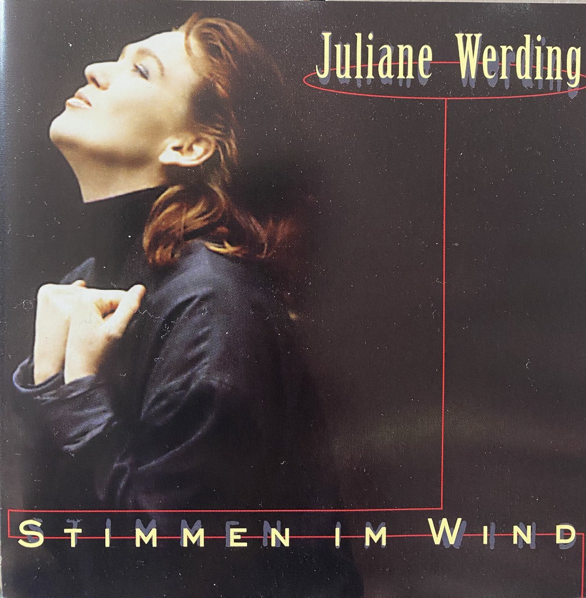 Stimmen im Wind von Werding,Juliane