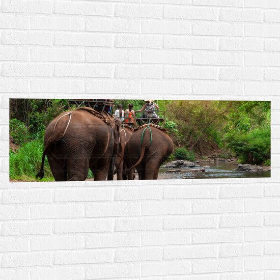 Muursticker - Toeristen op Rug van Olifant door de Jungle - 120x40 cm Foto op Muursticker