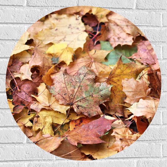 Muursticker Cirkel - Stapel Herfstbladeren in Verschillende Kleuren - 70x70 cm Foto op Muursticker