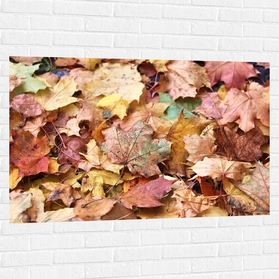 Muursticker - Stapel Herfstbladeren in Verschillende Kleuren - 120x80 cm Foto op Muursticker