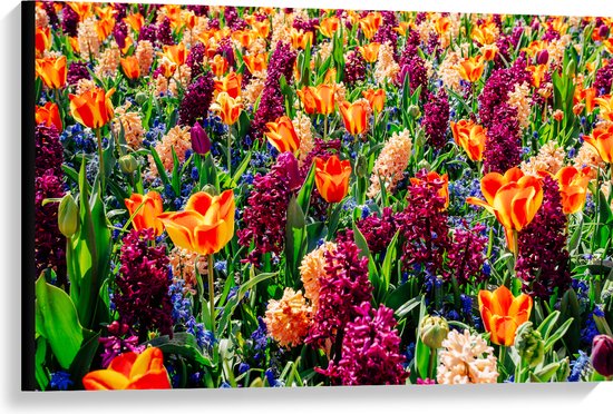 Canvas - Veld Vol Wilde Bloemen - 90x60 cm Foto op Canvas Schilderij (Wanddecoratie op Canvas)