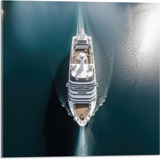 Acrylglas - Bovenaanzicht van Cruiseschip op het Water - 50x50 cm Foto op Acrylglas (Met Ophangsysteem)