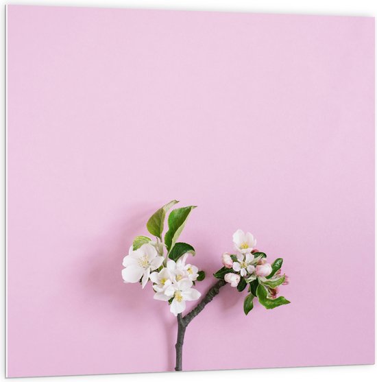 PVC Schuimplaat - Tak met Witte Bloemen en Groene Bladeren tegen Roze Achtergrond - 100x100 cm Foto op PVC Schuimplaat (Met Ophangsysteem)