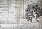 Fotobehang - Vlies Behang - Tekening van een Boom op Oud Papier - Kunst - 208 x 146 cm